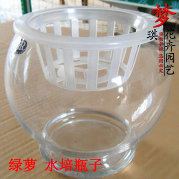 特价出售透明水培玻璃花瓶 绿萝 铜钱草 豆瓣绿专用瓶